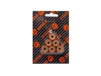 Ролики вариатора (компл. 6шт) 16x13 12,0гр  SCOOTER-M