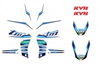 Комплект наклеек TM Racing 22-