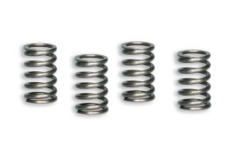 Пружины сцепления Malossi Racing Spring Set - Pitbike