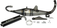 Глушитель Athena Racing - Honda Dio AF34/35