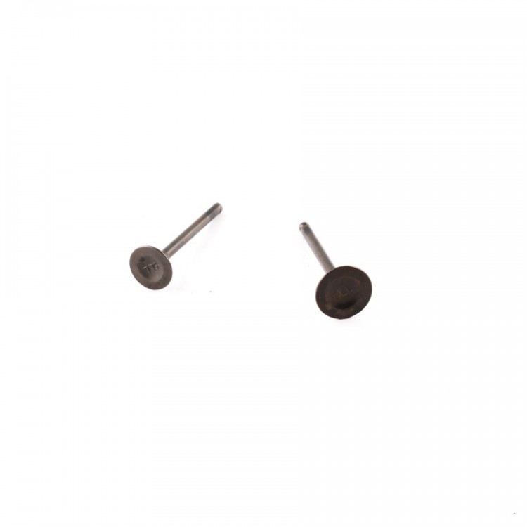 Клапаны (компл. 2шт) 4T двиг. TTR125, YX125 стандартные d=20/23  SM-PARTS