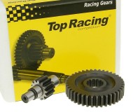 Шестерни редуктора Top Racing [вторичная пара 13/39] - Motini AC (AD50)