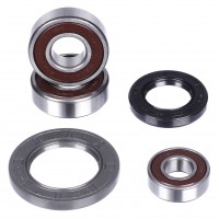 Комплект подшипников и сальников заднего колеса CHAKIN CH25-1449