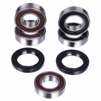 Комплект подшипников и сальников заднего колеса CHAKIN CH25-1492