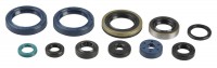 Комплект сальников двигателя Athena - Kawasaki KX 250 F 2004-18