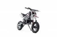 Питбайк BSE EVO 110e 14/12 (красный)
