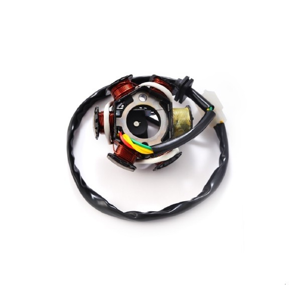 Статор генератора TTR125 (6 катушек) SM-PARTS
									купить с доставкой Статор генератора TTR125 (6 катушек) SM-PARTS