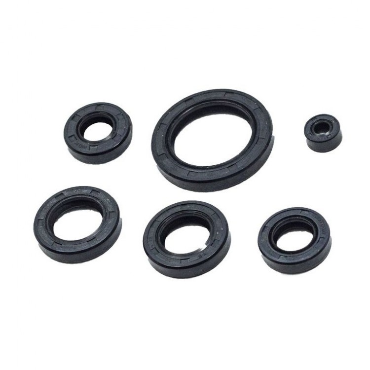 Сальник 24х50х7  двиг. ZS169FMM CB250D-G (воздушный) CN
									купить с доставкой Сальник 24х50х7  двиг. ZS169FMM CB250D-G (воздушный) CN