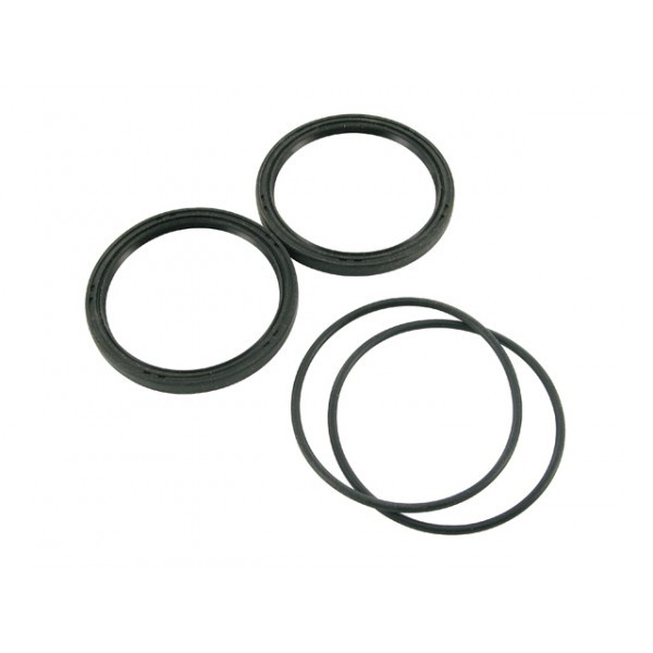 Уплотнительные кольца ведомого шкива Polini