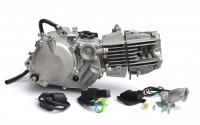 Двигатель Daytona Anima 2.0 150cc (4 клапана)