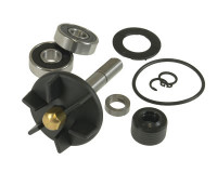 Ремкомплект помпы - Gilera / Piaggio 50cc